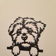 20240213_214017.jpg MALTESE BREED 2, LINE ART MALTESE BREED, WALL ART MALTESE BICHON, 2D ART MALTESE, MALTESE BICHON