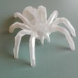 c918b4fabb18c63fcb62562a90ac53d0_display_large.jpg Araña LOWPOLY