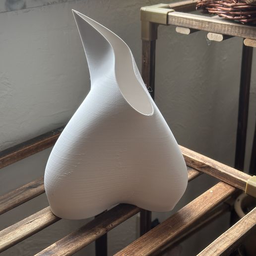 Organic Modern Vase - Curves