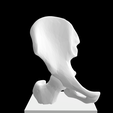 Screen-Shot-2023-02-03-at-4.20.57-PM.png 3D file Hip Joint with Right Humerus and Sacrum Anatomical Model for 3D printing with Stand・3D printer model to download