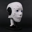 1491dd09-0225-4841-9812-4d85bc96686e.jpg EZ-inMoov Robot Head