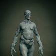 IMG_8049.jpg Commercial use Resident evil - Regenerator  3d figurine STL