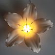 img_3.jpg 百合花 - LED 夜灯 | 3D 打印模型