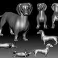2.jpg Dutch hound Dachshund 3D printable model