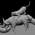 2.png The lioness hunts water buffalo