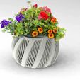 IMG-20230703-WA0007.jpg spiral pot