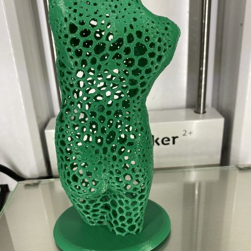 IMG_0818.jpg STL file Female torso (voronoi)・3D printing design to download, RaimonLab