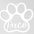 paco.jpg Paco