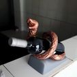 foto-real-2.jpg WINE HOLDER / Anaconda porta vino