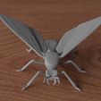 06.jpg Winged Ant