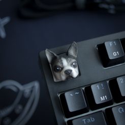 IMG_2825.jpg Boston Terrier Keycap