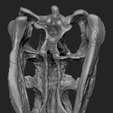 5.png Download OBJ file Deinonychus Skull • 3D print design, arric
