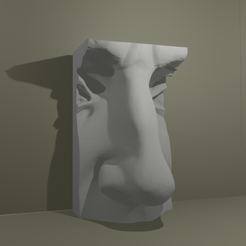david-nose-3D.png David Nose  Academic Drawing Michelangelo