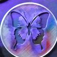 > +600 4, ee . © e 4%, G od Stencil Butterfly - (Fit round coasters)