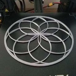 container_flower-of-life-3d-printing-290609.jpg Flower of Life