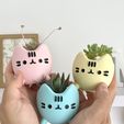 IMG_4227-conv.jpeg Fioriera per gattini Pusheen - Stampa facile