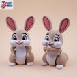 01.jpg Flexi rabbit