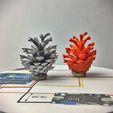 21-05-18_21-23-12_2636.jpg Pine and Spruce Cone - 3D-Scan Examples