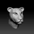 lion_111.jpg Lion head