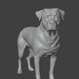 rottsp.png Rottweiler