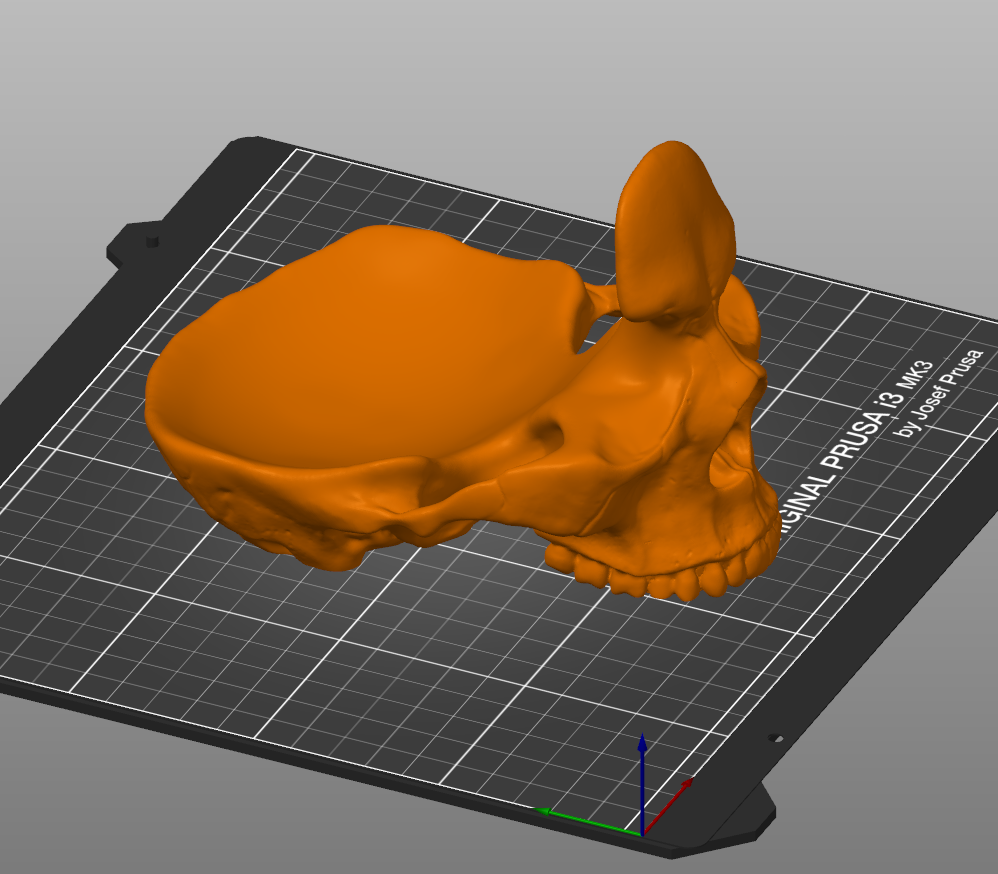 Captura2.png Файл STL Держатель подставки для очков с черепом・Модель 3D-принтера для скачивания, 3Dimension3d