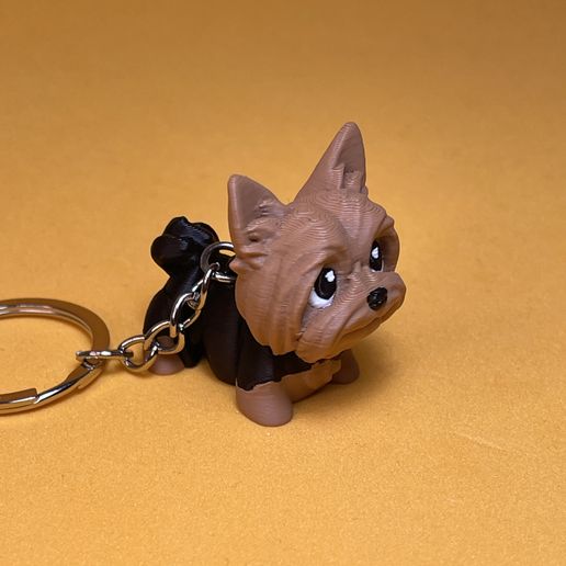 IMG_4488.jpg йоркширская собака