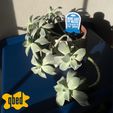 PLANT-TOMBSTONE-ACCESSORIES-by-qbed_0017.jpg 💀 MEGA PACCHETTO DI LAPIDI VEGETALI