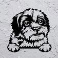 Sin-título.jpg Shihtzu dog deco wall pet pet mural dog wall decoration