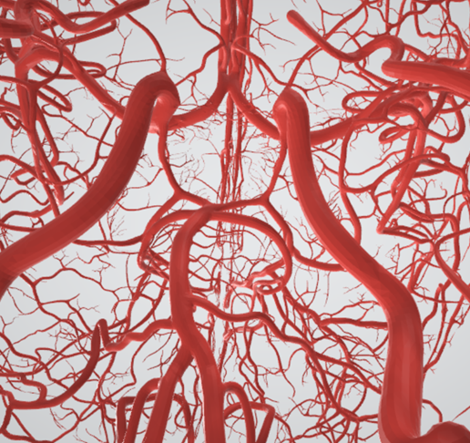 artery,-cerebrovascular,-brain,-face,-hemisphere,-willis,-dental,-neck,-vein,-head,-cerebellum,-vasc.png 3D 头颈部血管解剖图 - 动脉、静脉和脑血管系统