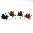 DSC01151-copia.jpg Articulated Roach