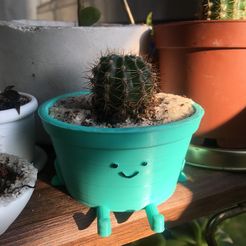 72817EAC-BCBF-4B57-88EB-57061A7B6990.jpeg cute pot succulent planter