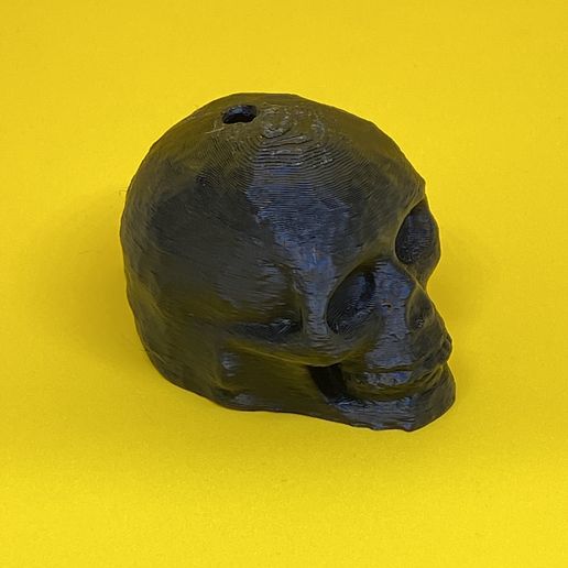 IMG_1080.jpeg Silbato de la muerte