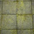 7.jpg Textura Mossy Pavement 8K PBR