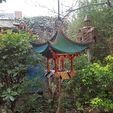 20230113_105955.jpg Japanese Air Temple Bird Feeder