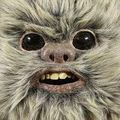 EwokGuy