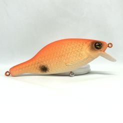 Crankbait best 3D printing files・78 models to download・Cults