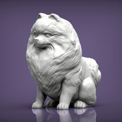 Pomeranian1.jpg Fichier 3D Modèle d'impression 3D de poméranien・Design imprimable en 3D à télécharger, akuzmenko