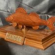 IMG_7754.jpg fish sculpture of a zander / pikeperch with storage space for 3d printing
