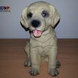 LabPup2.jpg Labrador Puppy (Dog Statue 3D Scan)