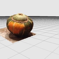 gourd.png STL-Datei Photogrammetrie Kalebasse kostenlos herunterladen • 3D-druckbares Objekt, zatamite