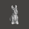 2021-09-22-16_45_05-Window.png SCOTTISH TERRIER DOG MASCOT FIGURINE