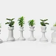 chess-planters.webp Planteurs d'échecs