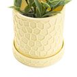 honeycomb-planter-3-4-04.jpg Jardinière en nid d'abeille