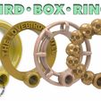 BirdBox-Rings.jpg BIRDBOX - RING