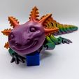 Adorable Articulated Axolotl, Print-In-Place Body, Snap-Fit Head, Cute Flexi