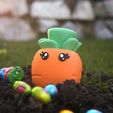 carotte14.jpg Carlo the Carrot Container