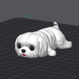 Captura-de-tela-2025-10-31-160556.png Shih Tzu - Modelo Multicolor Articulado