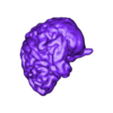 SplitBrain_Left.stl Human Brain - Converted MRI Scan of Real Human Brain