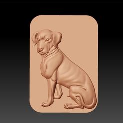 DOG1.jpg chien