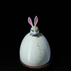 DSC_01420_c3d4cdee40.jpg Archivo 3D sexy bunny・Objeto para impresora 3D para descargar